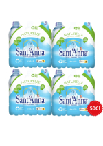 eau-de-source-santanna-4-packs-6-x-50-cl