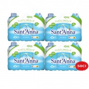 Eau de source Sant'Anna 4 Packs 6 x 50 cl